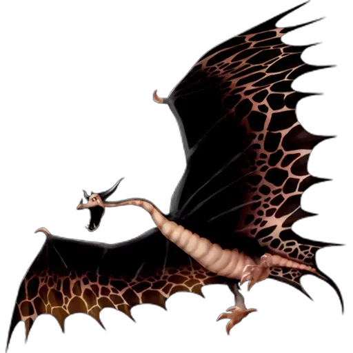 Cinderoptera